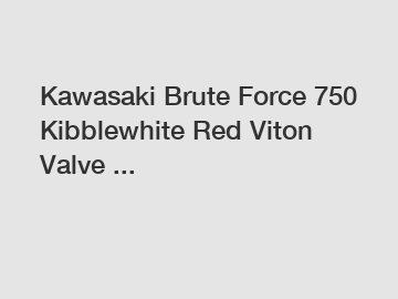 Kawasaki Brute Force 750 Kibblewhite Red Viton Valve ...