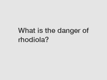 What is the danger of rhodiola?