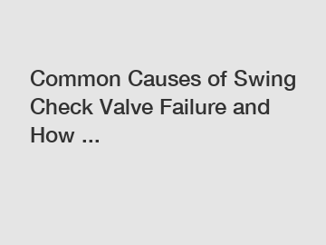 Common Causes of Swing Check Valve Failure and How ...