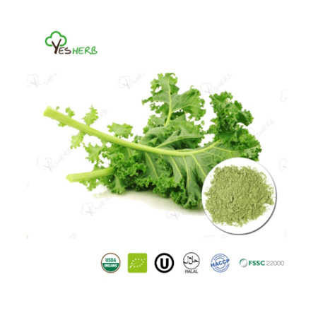 Kale Powder: Unleashing the Power of Nature for Optimal Health
