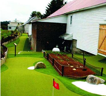 Exploring the Versatility of Artificial Grass Adhesive: Top 5 Practical Applications