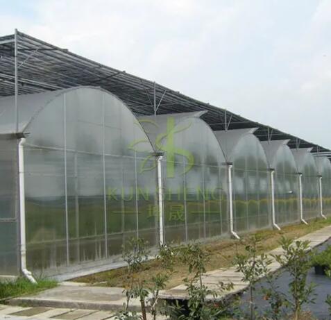 How to properly maintain a greenhouse?