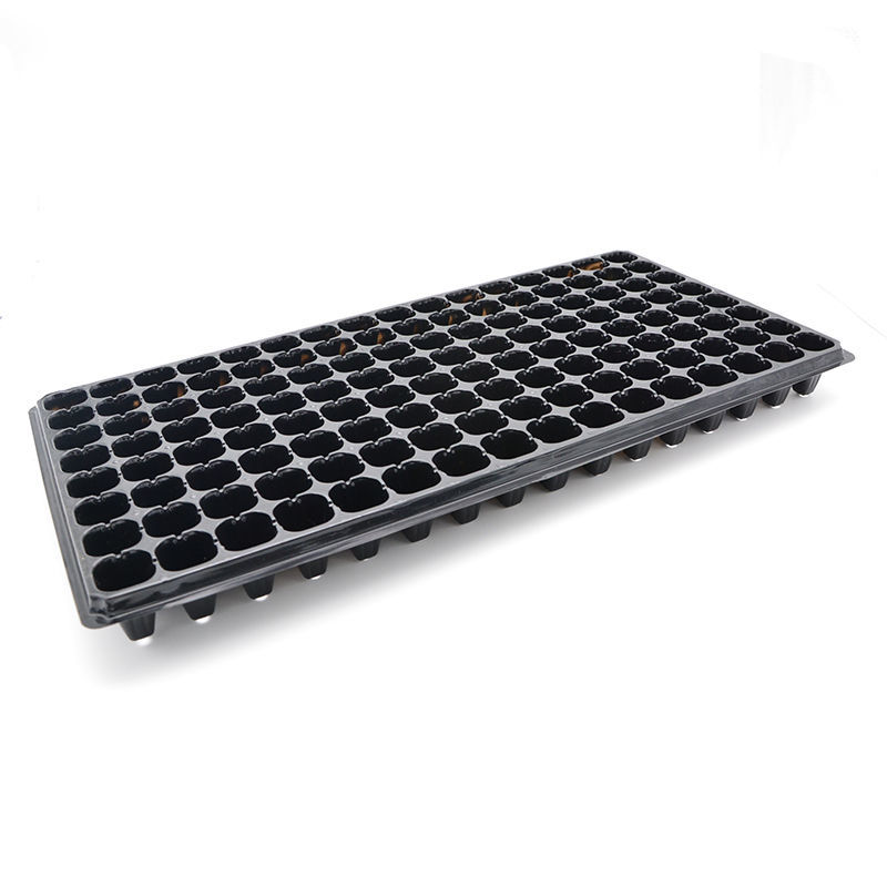 128 Cell Plastic Plug Trays.jpg