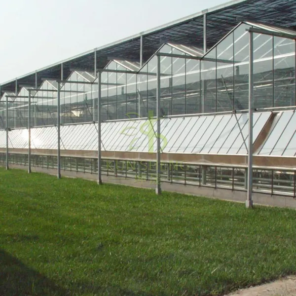 Glass Greenhouse Manufacturers.webp