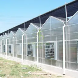 5 Things to Consider Before You Buy a Greenhouse