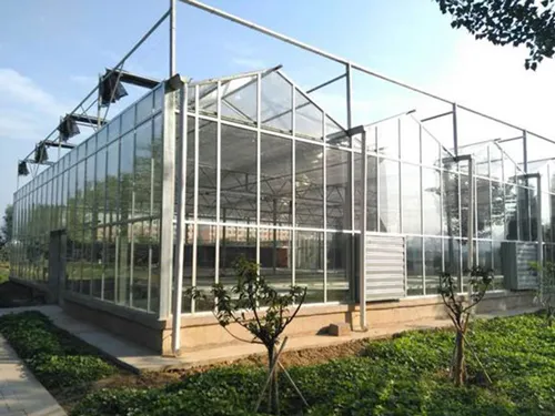 Glass Greenhouse.webp