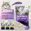 The Ultimate Buyer's Guide for Purchasing bentonite cat litter