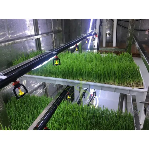 Hydroponic Fodder Container Full System.webp