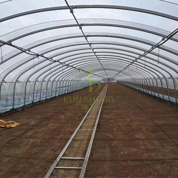 What is the difference between single span and multispan greenhouses?