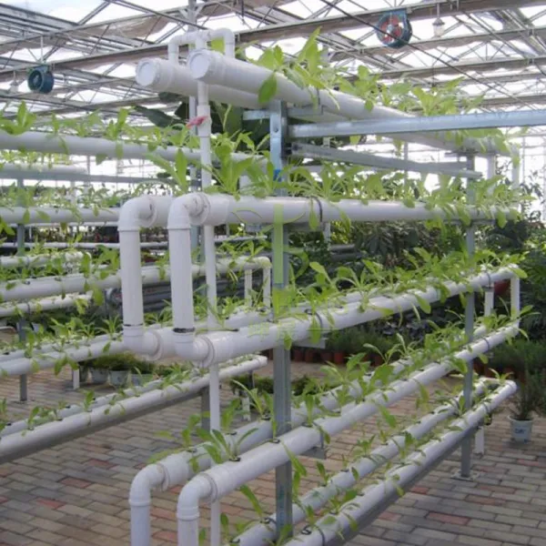 Why choose a hydroponic greenhouse?