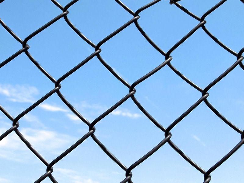 Chain Link Fence.jpg