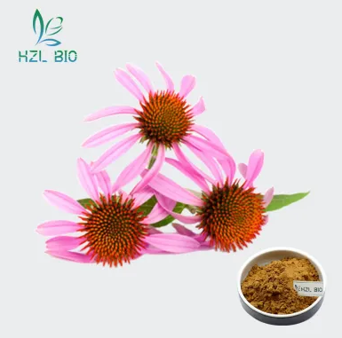 Echinacea powder