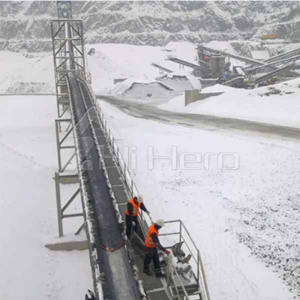 Cold Resistant Conveyor Belts: Performance in Low-Temperature Conditions