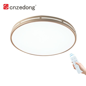 Which Type of Ceiling Light Is Best?