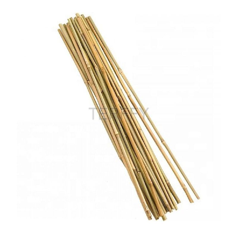 Bamboo Poles -Stronger Than You Think