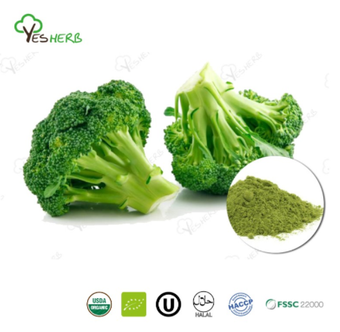 Benefits of Broccoli Powder
