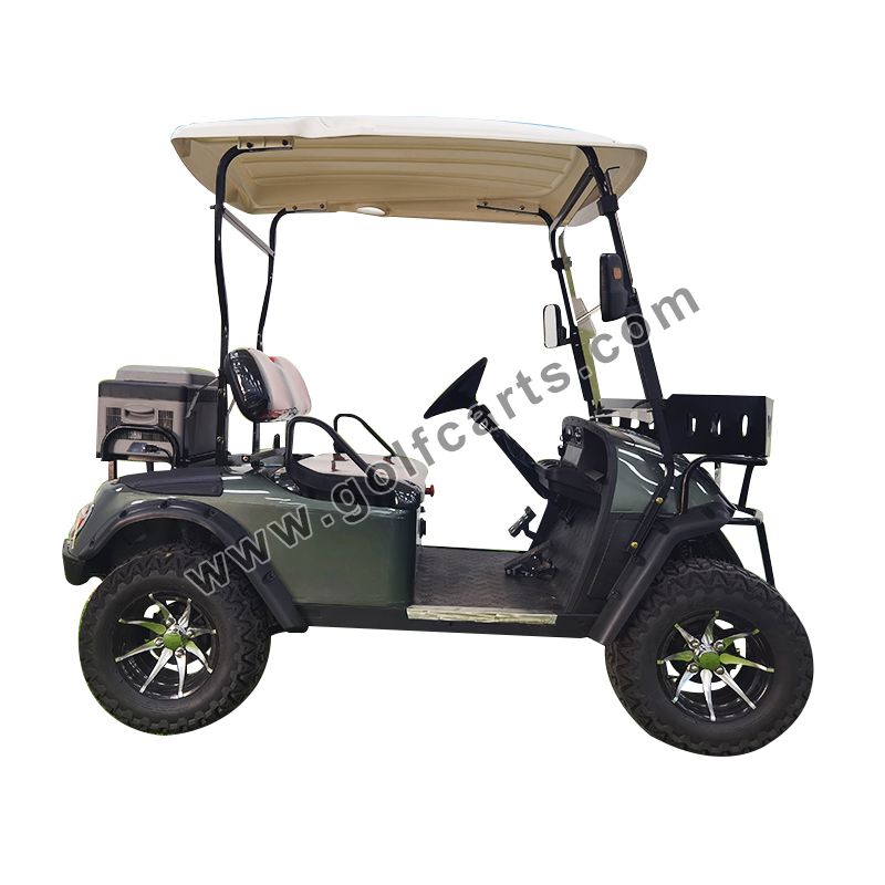 Introduction to golf carts