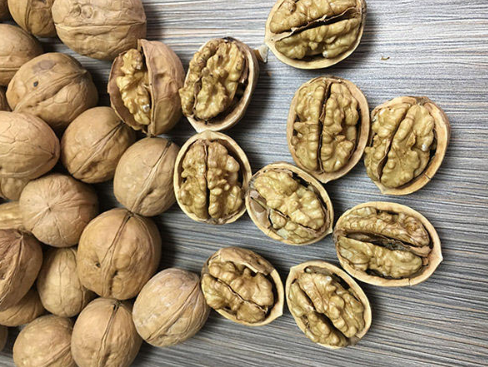 Walnuts: A Worthy Addition to Your Daily Diet?