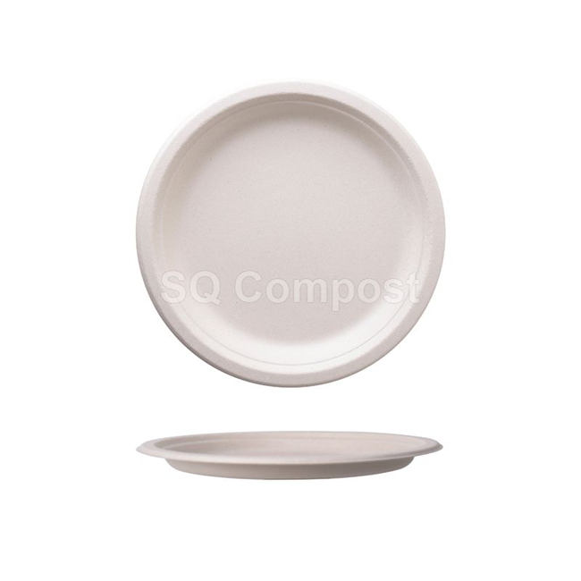 What are the applications of bagasse plates?