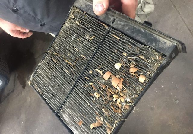 What Happens When A Cabin Air Filter Gets Dirty?