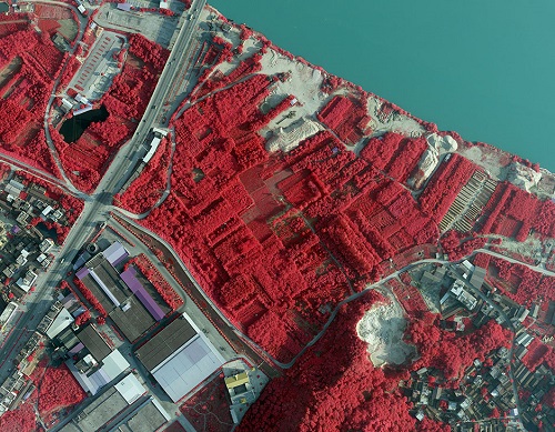 Exploring the Wonders of Infrared in Color Infrared Aerial Photography