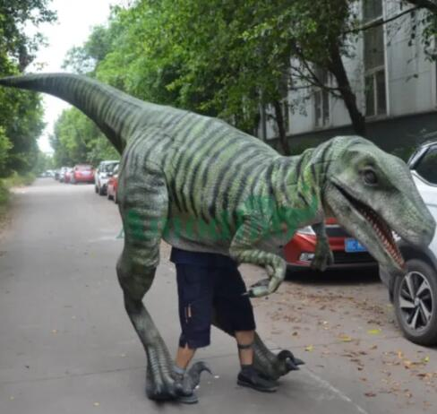 Looking to Buy a Dinosaur Costume? Here's Where to Start