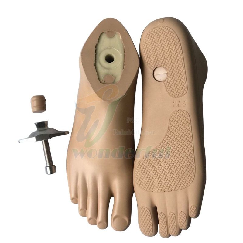 How to maintain prosthesis?