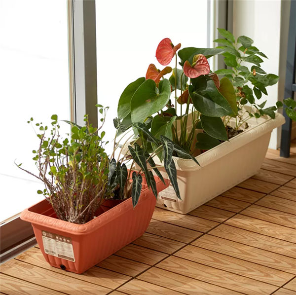 Plastic Flower Pots: The Versatile and Sustainable Gardening Solution