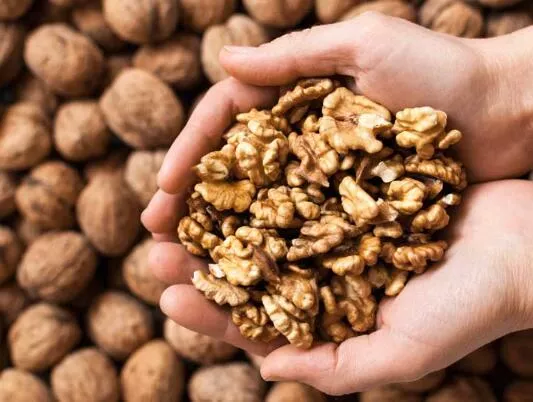 Are Walnuts The Healthiest Nut?