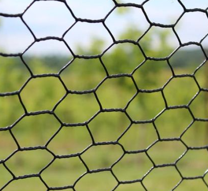 What is the Use of Hexagonal Wire Mesh? 