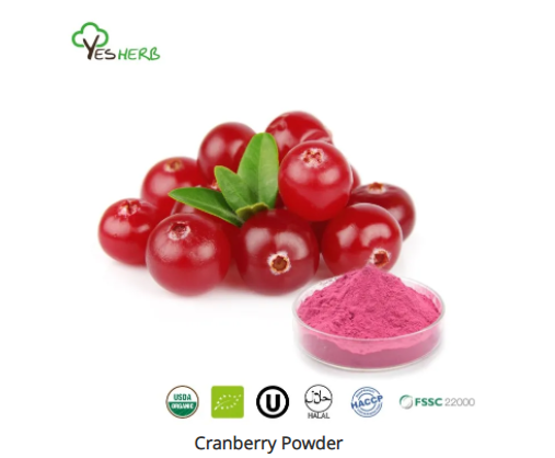What Is Cranberry Powder Good for?