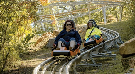 Can Two People Ride the Alpine Coaster? 