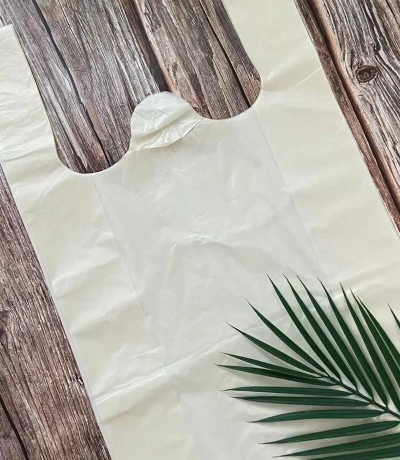 Top Five Biodegradable Plastic Bag Manufacturers in the World