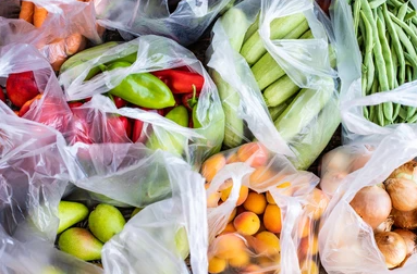 Can You Store Food in Biodegradable Bags?