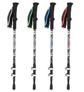 How Long Should My Trekking Pole Be for My Height?