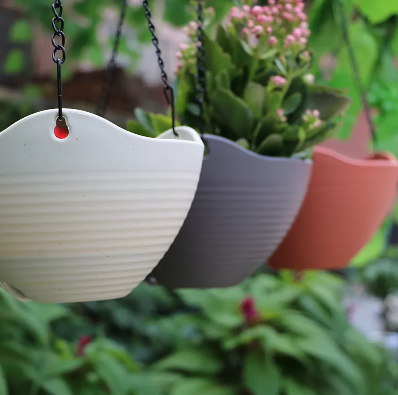 Tips for Maintaining Hanging Flower Pots Indoors