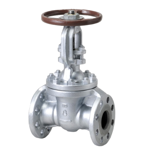 What are the Problems with Gate Valve 20k? 