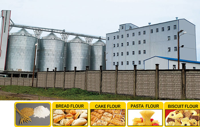What types of wheat can be milled using wheat flour milling machine?