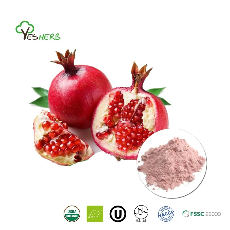 What Are the Benefits of Pomegranate Powder?