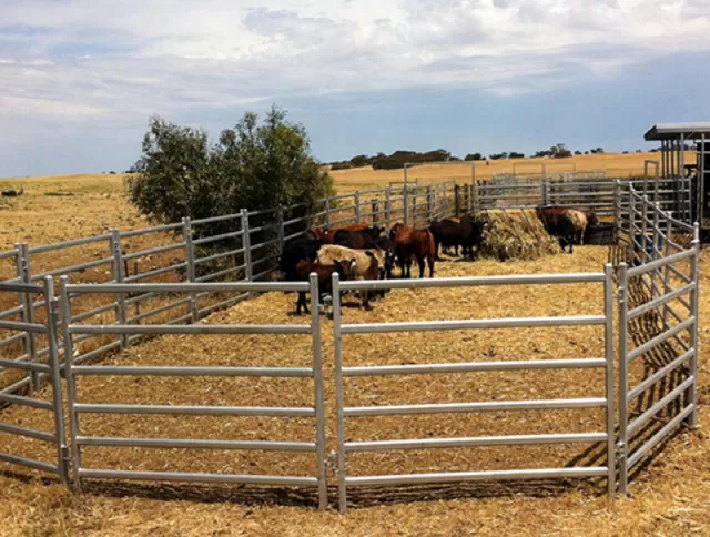 Best Horse and Livestock Fence Panels For Your Cattle Ranch