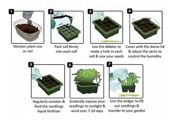 How to Starting Your Gardening Life with Plastic Seed Trays?