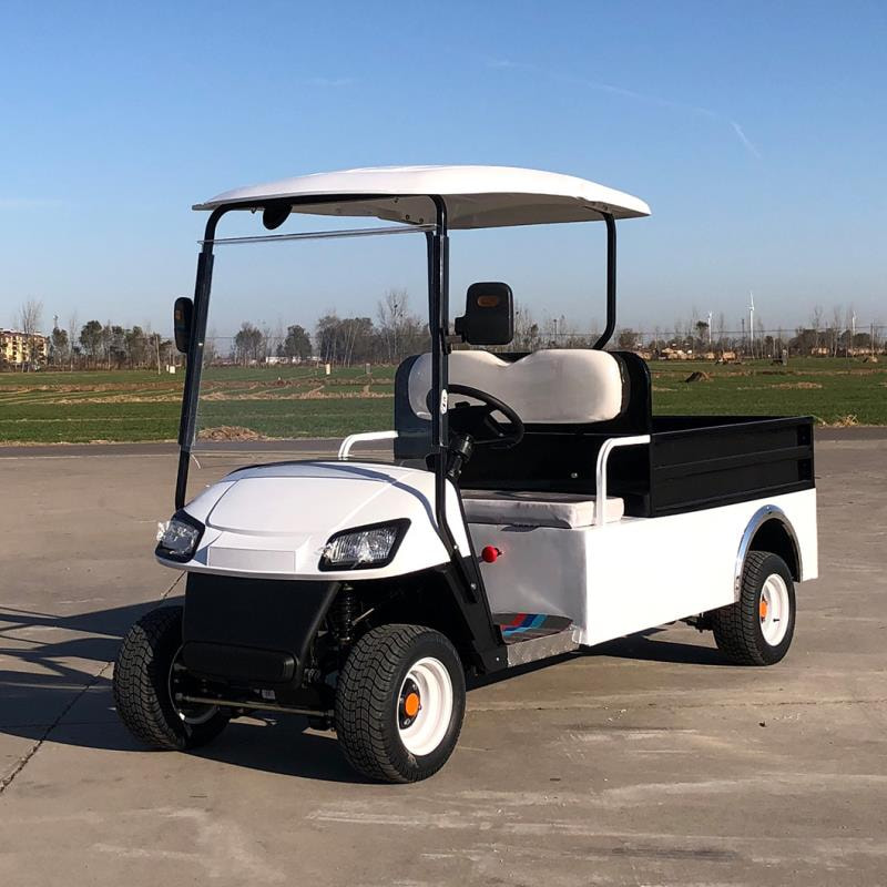 Should You Leave Your Electric Golf Cart Plugged in All the Time?