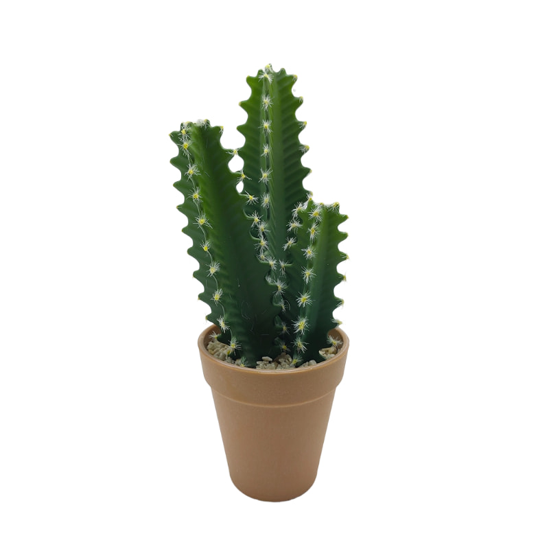 Why Choose Artificial Cactus for Low-Maintenance Home Decor?