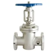 What Are the Limitations of a Gate Valve?