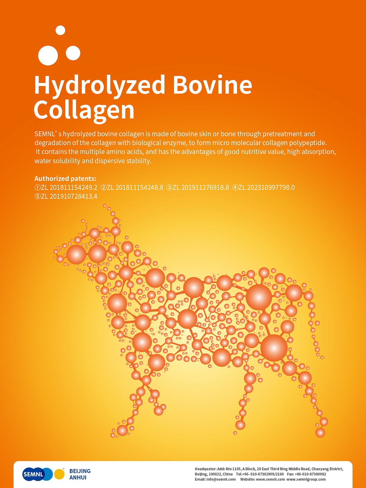 Hydrolyzed Type II Collagen: Benefits, Uses, and How It Supports Joint Health