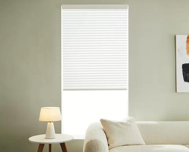 window blinds.jpg