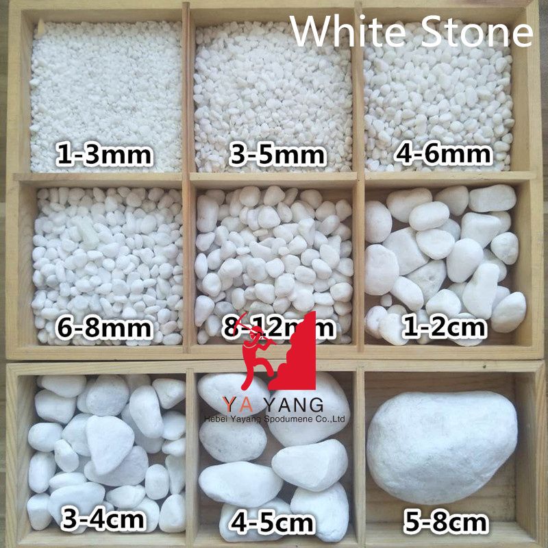 What Makes Limestone Powder the Quiet Workhorse of Modern Industry?